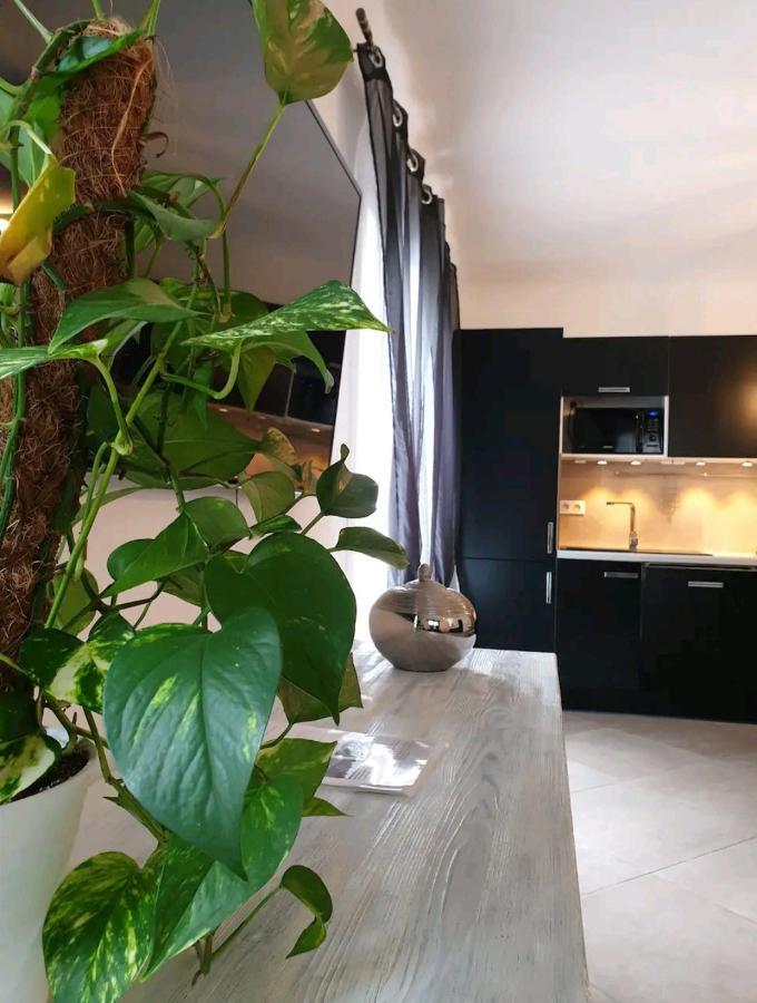 Pianotolinca - Centru Di Corsica Villa Moltifao Bagian luar foto